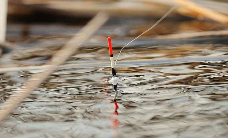 Ловля рыбы в апреле