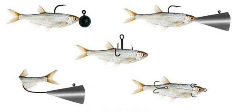 Ловля судака на тюльку