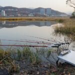 Хитрости насадок и прикормок при ловле на фидер