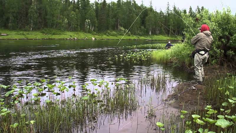 Рыбалка нахлыстом на щуку