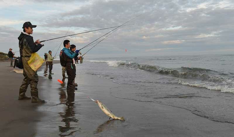 Серф-кастинг - ловля в прибое