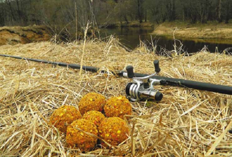 Какую прикормку предпочитает плотва