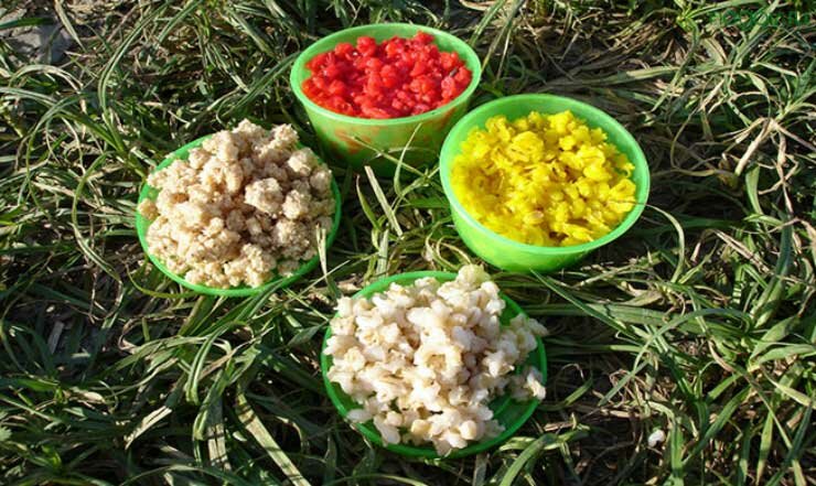 Растительные насадки для рыбалки