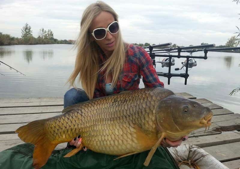 Ловля карпа в любой сезон