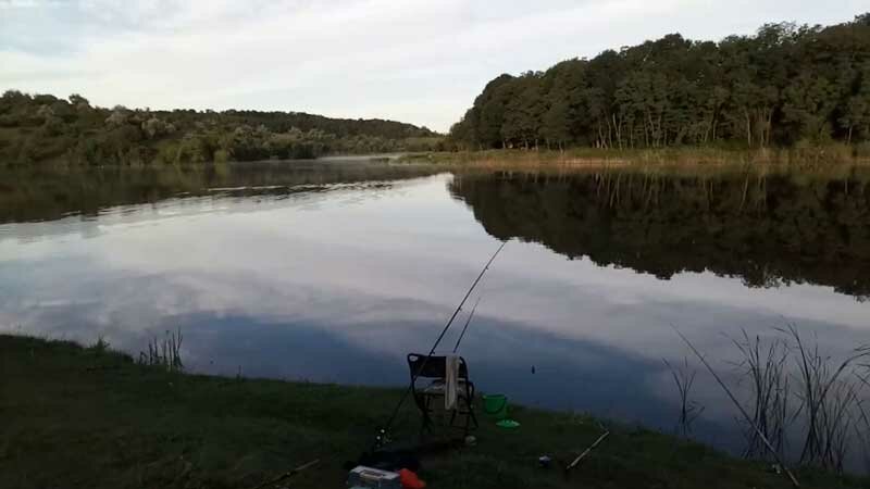 Что делать если нет коева