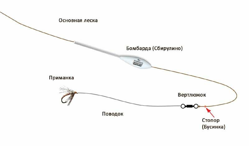 Ловля рыбы на сбируллино