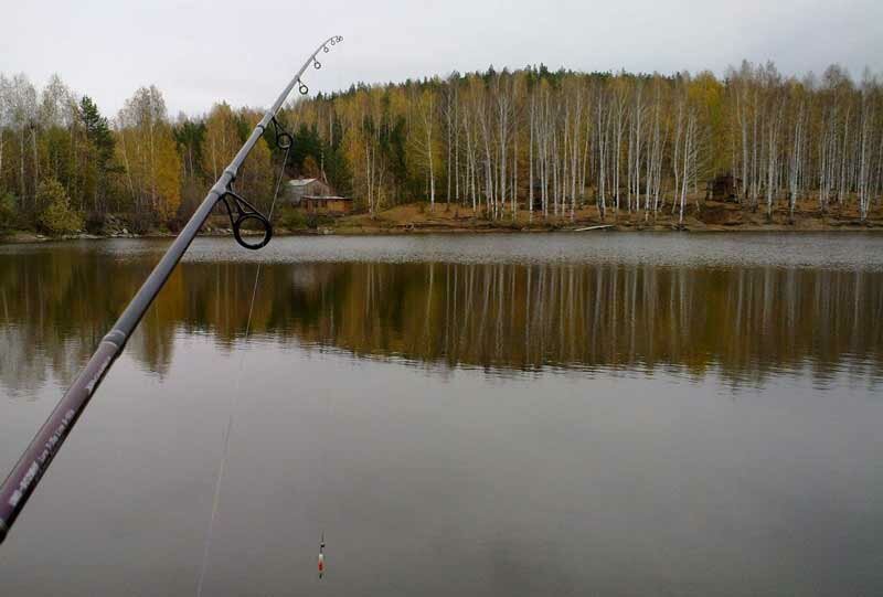 Ловля рыбы на пруду